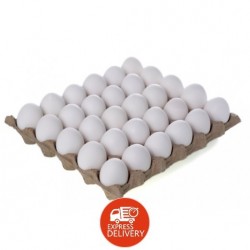 Fresh Eggs L1 x 12*30