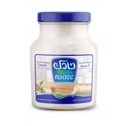 Nadec Cheese Creamy Flavor 500 gm x 6