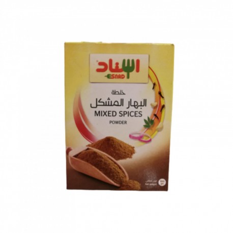 Esnad Mixed Spices Powder 100 gm pack of 1