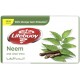 Lifeboy Soap Molds Neem And Aloe Vera 125 gm x 72