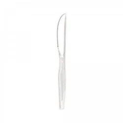 transparent plastic knife Oasis Of Achievement x 50*20