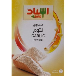 Esnad Garlic Powder Spices 100 gm pack of 1