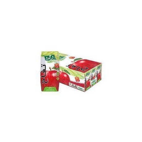 Al Rabie juice apple 200 ml *18 . Expiry - 7-22-2023