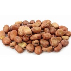 Foul Tadames Egyptian Happy Farm Seeds 15 kg