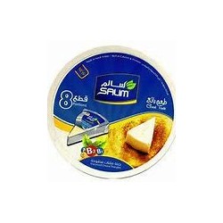 Salem Triangle Cheese 120 gm Shed 36