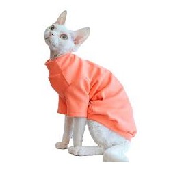 M cat hoodie wear