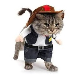 Cowboy clothes for cats