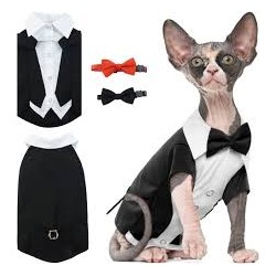 Formal cat wear