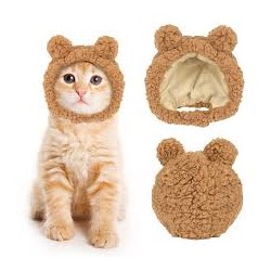 Lion hat for cats L