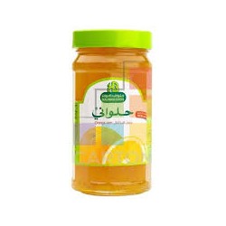 Halwani Orange Jam 450gm 12