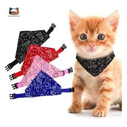 Bandana collar for cats