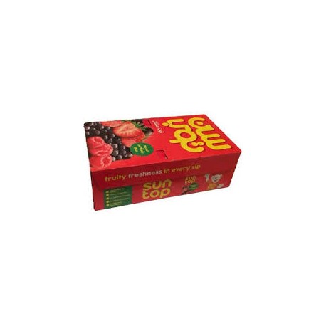 Sun Top juice large berries 250 ml Pcs 30