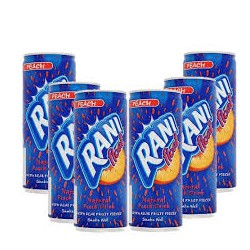 Rani orange juice 240ml x 24